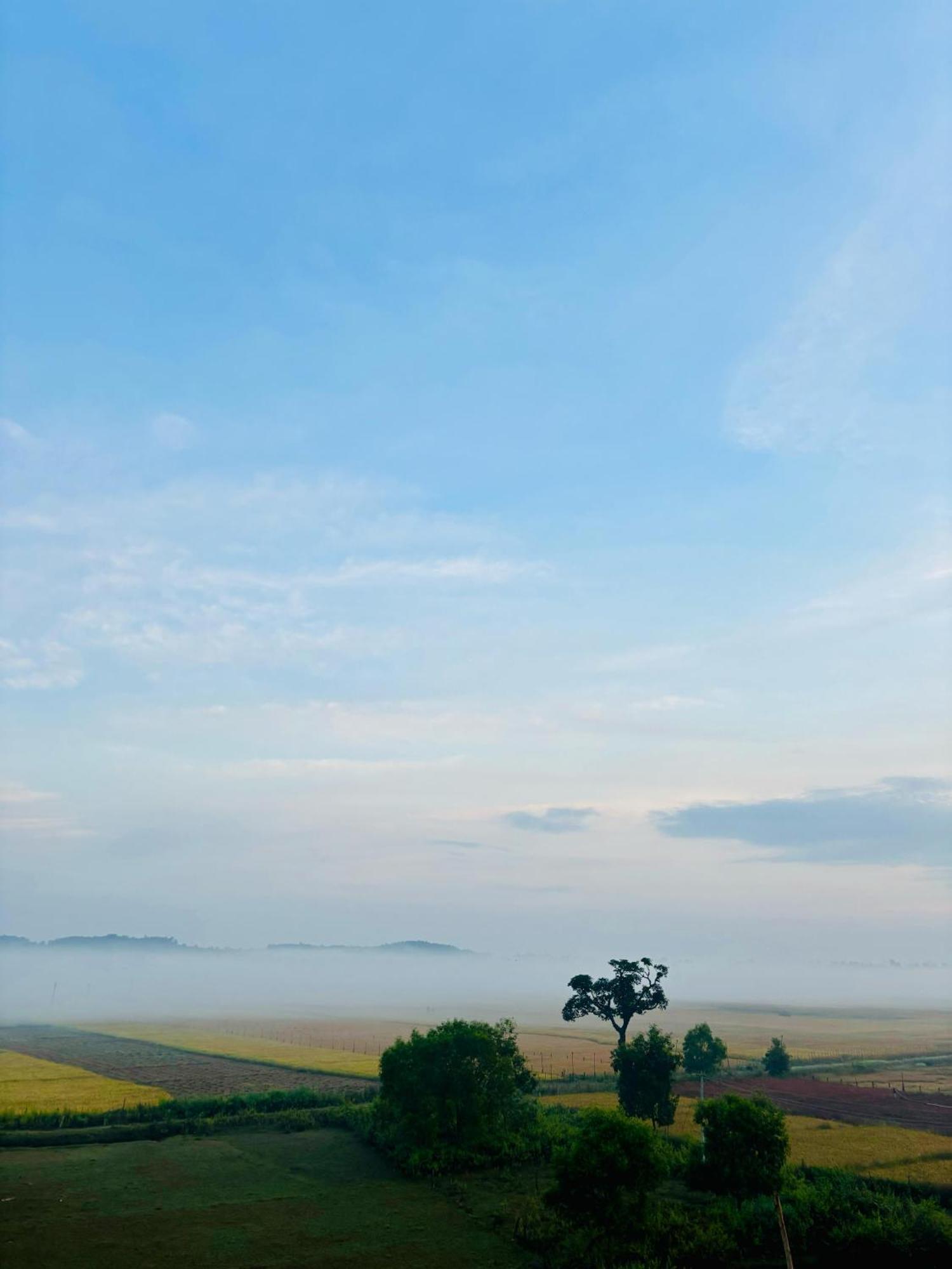Mungaru Homestay, Talaguppa 萨格尔 外观 照片